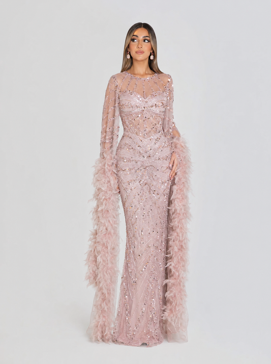 Hadia Blush Feather-Trim Embellished Gown